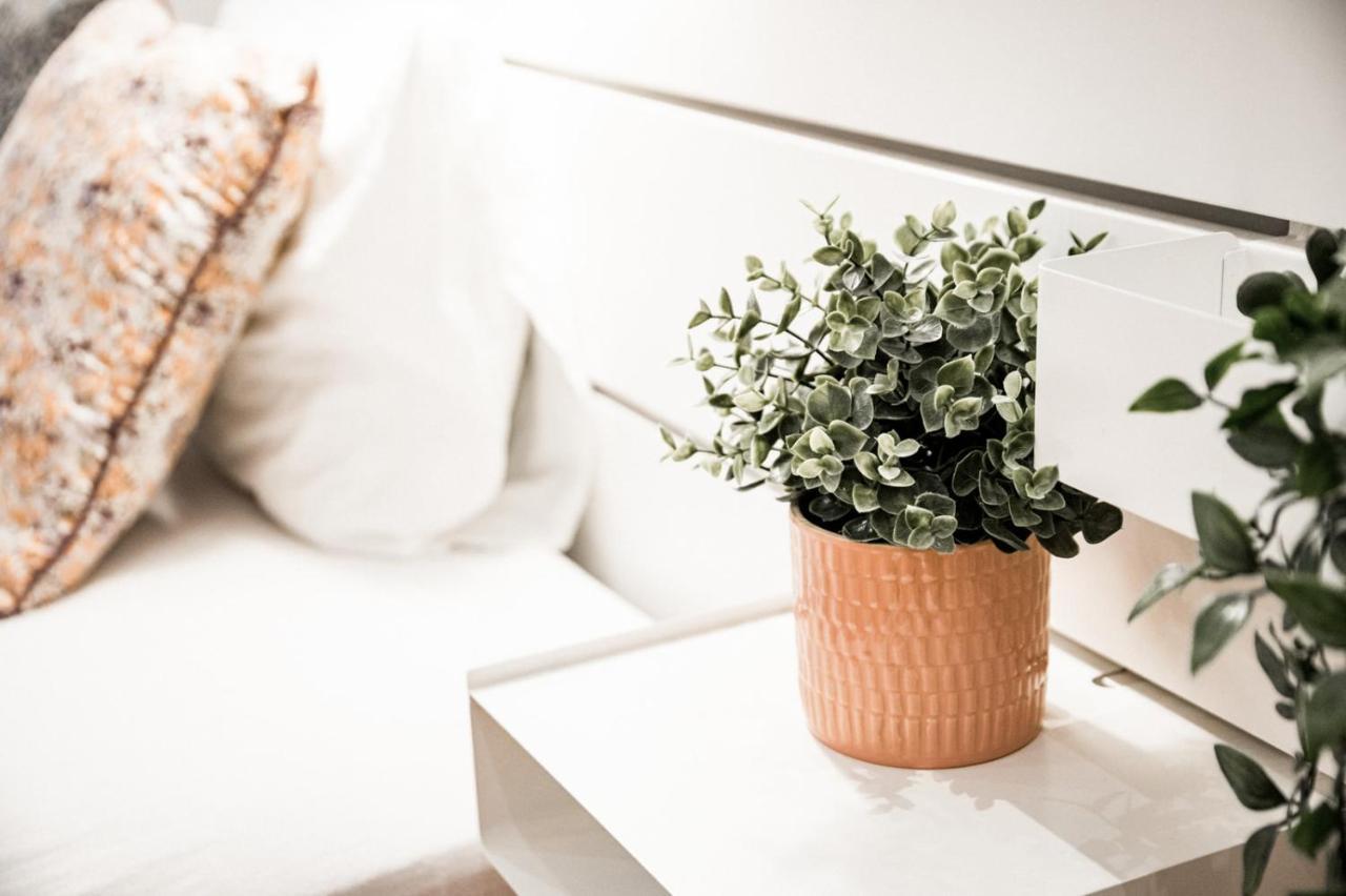 Stylish&spacious ! Location Kazincy Netflix